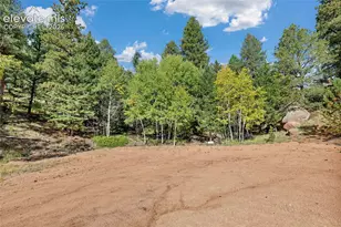 926 Pinon Ln, Florissant, CO 80816 - Photo 1