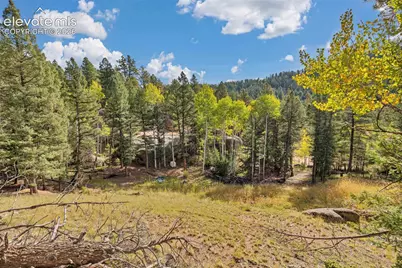 926 Pinon Lane, Florissant, CO 80816 - Photo 5