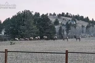 378 High Pasture Rd, Florissant, CO 80816 - Photo 37