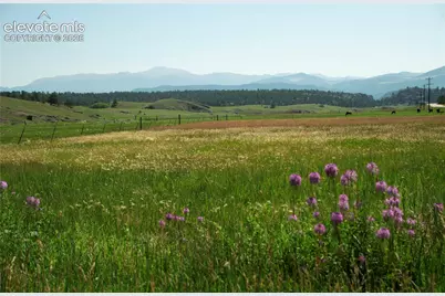 3800 Doe Valley Road, Guffey, CO 80820 - Photo 27