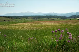 3800 Doe Valley Rd, Guffey, CO 80820 - Photo 27
