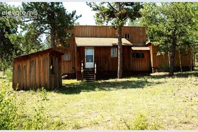 3800 Doe Valley Road, Guffey, CO 80820 - Photo 3