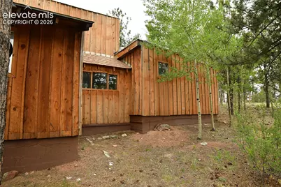 3800 Doe Valley Road, Guffey, CO 80820 - Photo 17