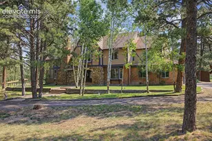8310 Windfall Way, Colorado Springs, CO 80908 - Photo 49