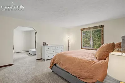 8310 Windfall Way, Colorado Springs, CO 80908 - Photo 5