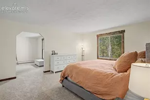 8310 Windfall Way, Colorado Springs, CO 80908 - Photo 5