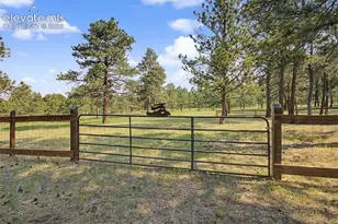 8310 Windfall Way, Colorado Springs, CO 80908 - Photo 45