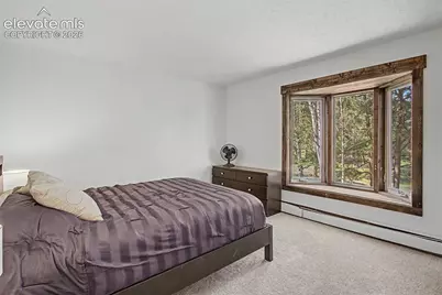 8310 Windfall Way, Colorado Springs, CO 80908 - Photo 25