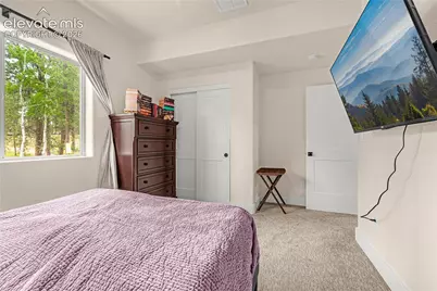 114 Homestead Lane, Florissant, CO 80816 - Photo 29