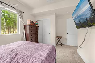 114 Homestead Ln, Florissant, CO 80816 - Photo 29