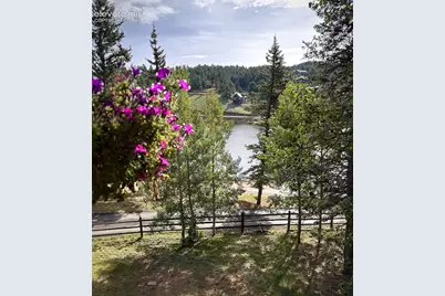 1369 Spring Valley Drive, Divide, CO 80814 - Photo 27