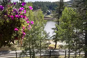 1369 Spring Valley Dr, Divide, CO 80814 - Photo 27
