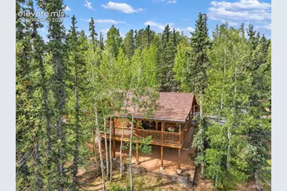 1369 Spring Valley Drive, Divide, CO 80814 - Photo 3