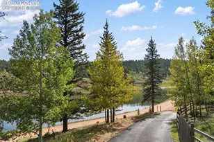 1369 Spring Valley Dr, Divide, CO 80814 - Photo 35