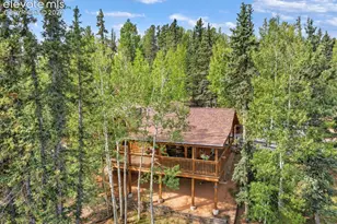 1369 Spring Valley Dr, Divide, CO 80814 - Photo 5