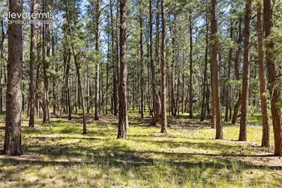 7005 Shoup Road, Colorado Springs, CO 80908 - Photo 13