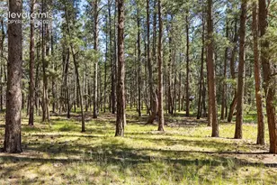 7005 Shoup Rd, Colorado Springs, CO 80908 - Photo 13