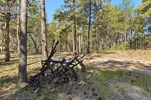 7005 Shoup Rd, Colorado Springs, CO 80908 - Photo 5