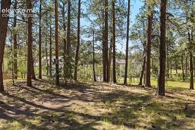 7005 Shoup Road, Colorado Springs, CO 80908 - Photo 15