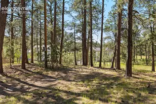 7005 Shoup Rd, Colorado Springs, CO 80908 - Photo 15