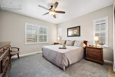 7938 Silver Birch Drive, Colorado Springs, CO 80927 - Photo 21