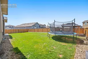 9165 Buffalo Bur Trail, Colorado Springs, CO 80925 - Photo 25
