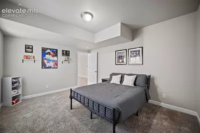 9165 Buffalo Bur Trail, Colorado Springs, CO 80925 - Photo 23