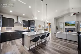 9165 Buffalo Bur Trail, Colorado Springs, CO 80925 - Photo 5