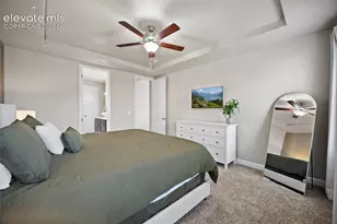 9165 Buffalo Bur Trail, Colorado Springs, CO 80925 - Photo 43