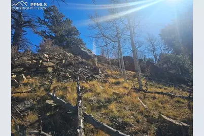 5585 Middle Fork Vista, Fairplay, CO 80440 - Photo 5