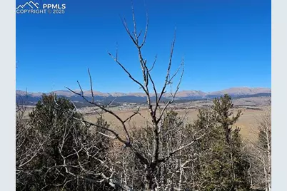 5585 Middle Fork Vista, Fairplay, CO 80440 - Photo 11