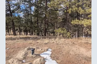 1379 S Mountain Estates Road, Florissant, CO 80816 - Photo 33