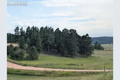1379 S Mountain Estates Road, Florissant, CO 80816 - Photo 31
