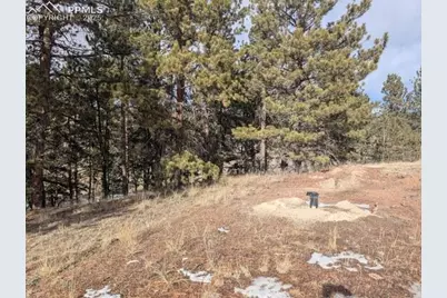 1379 S Mountain Estates Road, Florissant, CO 80816 - Photo 35