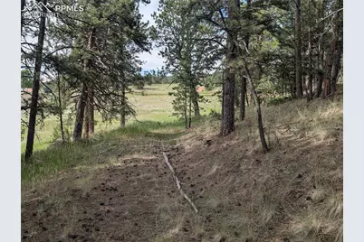 1379 S Mountain Estates Road, Florissant, CO 80816 - Photo 1