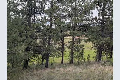 1379 S Mountain Estates Road, Florissant, CO 80816 - Photo 27