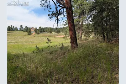 1379 S Mountain Estates Road, Florissant, CO 80816 - Photo 13