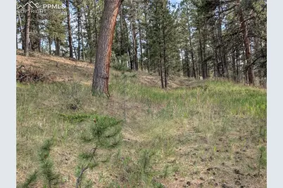 1379 S Mountain Estates Road, Florissant, CO 80816 - Photo 15