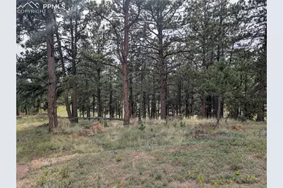 1379 S Mountain Estates Road, Florissant, CO 80816 - Photo 5