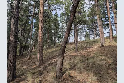 1379 S Mountain Estates Road, Florissant, CO 80816 - Photo 9