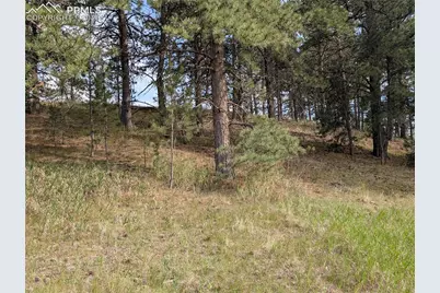 1379 S Mountain Estates Road, Florissant, CO 80816 - Photo 17