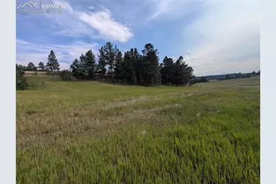 1379 S Mountain Estates Road, Florissant, CO 80816 - Photo 3