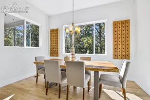 933 Tree Bark Terrace, Monument, CO 80132 - Photo 13