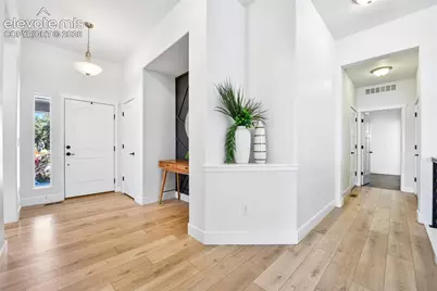 933 Tree Bark Terrace, Monument, CO 80132 - Photo 25