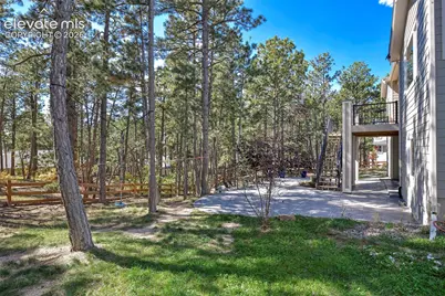 933 Tree Bark Terrace, Monument, CO 80132 - Photo 41