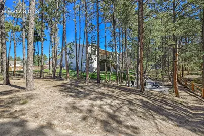 933 Tree Bark Terrace, Monument, CO 80132 - Photo 45