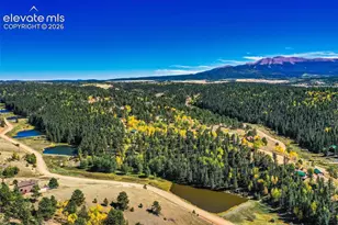 124 Cradle Lake Dr, Divide, CO 80814 - Photo 45