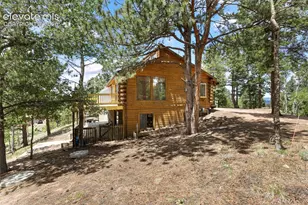 124 Cradle Lake Dr, Divide, CO 80814 - Photo 39