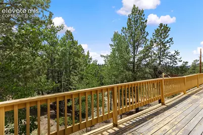 124 Cradle Lake Drive, Divide, CO 80814 - Photo 19