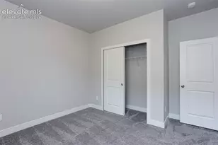 9774 Allouche St, Colorado Springs, CO 80924 - Photo 19